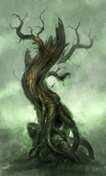 albero secco